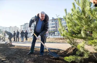 Рай для фотографов: Композиции с деревьями анапы, созданные для впечатляющих снимков.