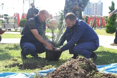 Фото долгожителей: красота природы на рабочий стол