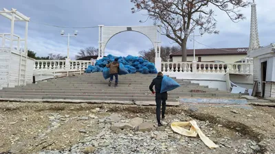 Картинки деревьев геленджика: натуральная красота рядом