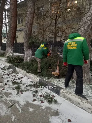 Изображение геленджика - прикоснитесь к природе с фотографиями высокого разрешения.