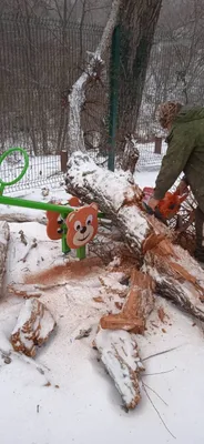 Арт с геленджиком - эстетика природы в вашем доме.