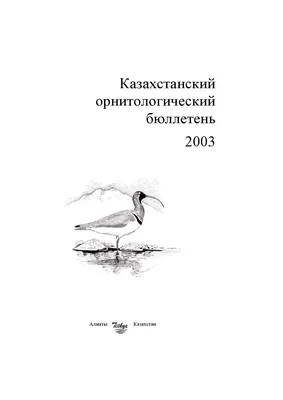 Изящество зимы: Прелестные деревья и кустарники, украшенные покрывалом снега