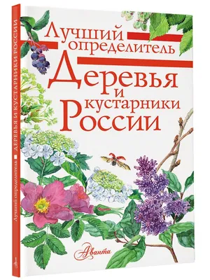 Большая коллекция фото деревьев и кустарников. Бесплатно скачать в разных качествах.