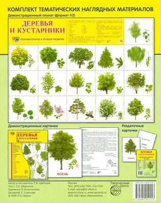 Объятия природы: захватывающие фото деревьев и кустарников