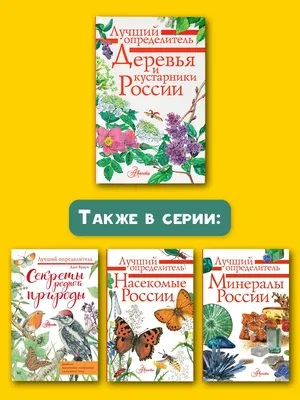 Макро съемка деревьев: детали, незаметные глазу