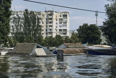 Уникальные пальмы Херсонщины: фотографии экзотической красоты Украины.