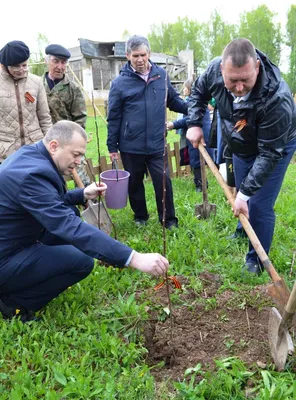 Очарование природы: великолепные фотографии деревьев Ленинградской области