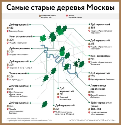 Фото деревьев Москвы в высоком разрешении - скачать бесплатно