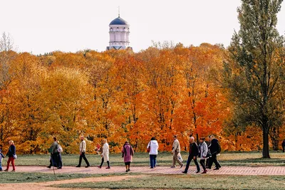 Фотографии деревьев в парках Москвы - оазисы зелени в городе