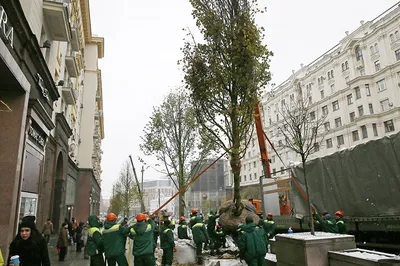 Уютные скверы и парки Москвы на фото - создайте атмосферу природы