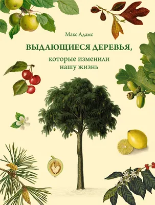 Величественность деревьев Москвы на снимках - ощутите ее мощь