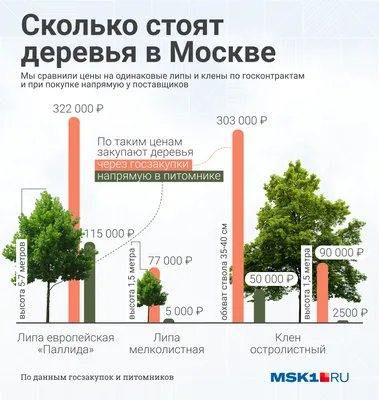 Прекрасные летние виды деревьев Москвы - загрузка фото в один клик