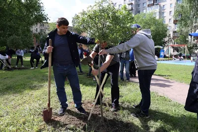 Загадочные деревья Москвы: взгляните на них через объектив