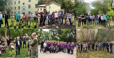 Восхитительные гиганты столичного леса: фотографии деревьев Москвы