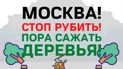 Фотографии деревьев Москвы в Full HD разрешении