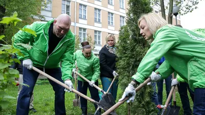 Фото деревьев Москвы 2024 года: запечатлейте сейчас красоту будущего.