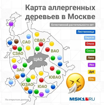 Арт-фото деревьев Москвы в высоком разрешении