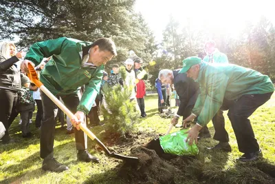 Уединенные уголки природы: красочные фотографии деревьев подмосковья