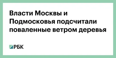 Живые стражи леса: прекрасные снимки деревьев подмосковья