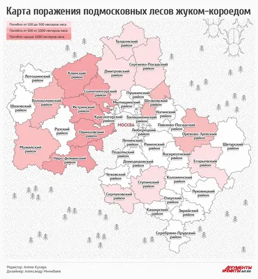 Живописные обои на рабочий стол с деревьями подмосковья