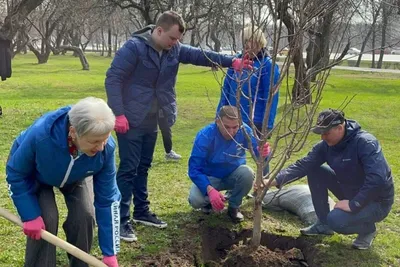 Величественные столетия: самые древние деревья России