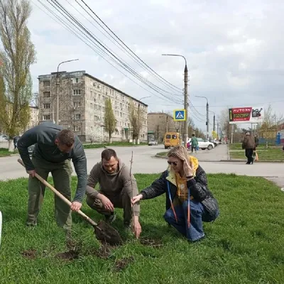 Невероятные картинки деревьев Ростовской области