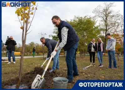 Фото весенних деревьев в хорошем качестве