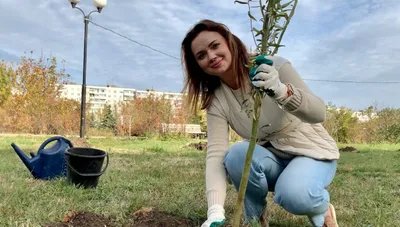 Фото деревьев Ростовской области в HD качестве - скачать бесплатно.