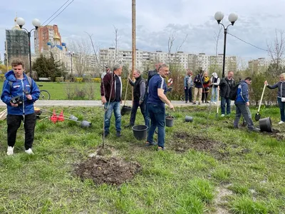 Изображение деревьев Ростовской области в арт-стиле - настоящие шедевры.