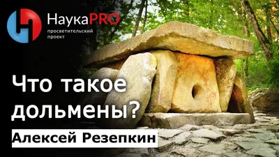 Фотографии прекрасных деревьев северного кавказа