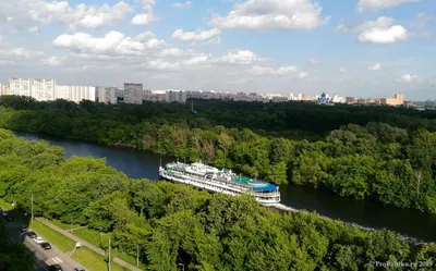 Бесплатные фотографии деревьев сорняков: изображения в Full HD качестве