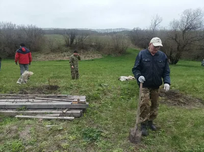 Живописные моменты в окружении деревьев Ставропольского края - запечатлены на фото