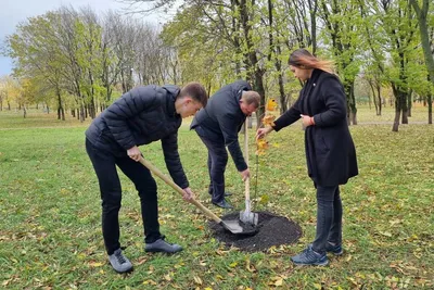 Волшебные моменты среди деревьев в Ставропольском крае - фотоколлекция