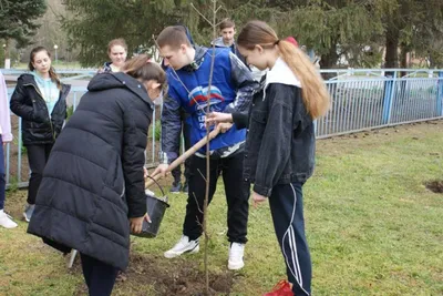 Уникальные фоны с деревьями Ставропольского края