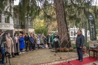 Фотографии деревьев Ставропольского края: загрузите в хорошем качестве.