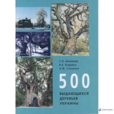 Волшебство природы: фото деревьев Украины для вашего наслаждения