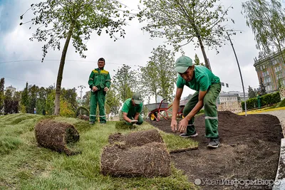 Зеленое чудо: фотографии прекрасных деревьев Уральских лесов