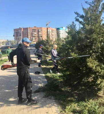 Фото деревьев в хорошем качестве в Астрахани