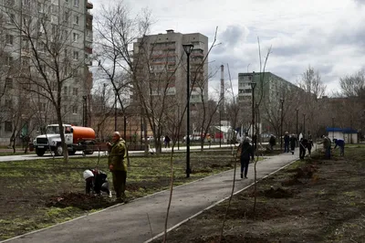 Уникальные фотографии деревьев в Астраханском крае