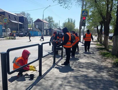 Фотка деревьев в Астрахани: прогулка по зеленым аллеям