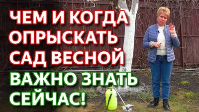 Великолепные фотки деревьев весной: прикоснитесь к волшебству природы