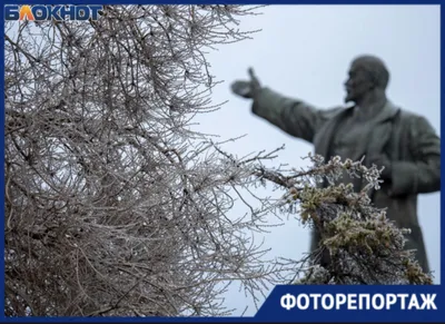 Шедевры искусства: природные картины в фото деревьев Волгоградской области