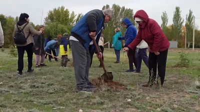 Загадочные лесные тропы среди деревьев Волгоградской области - в фото