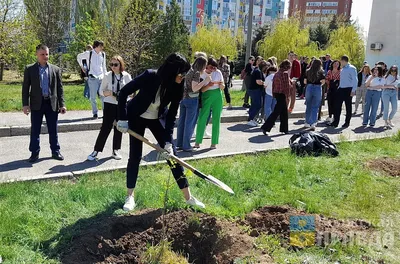 Величественные стволы и ветви: фотографии деревьев Волгоградской области