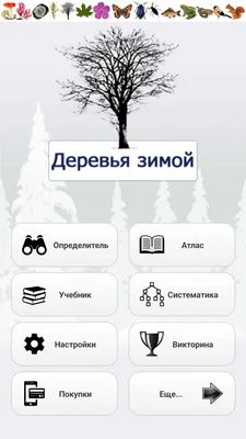 Деревья зимой в роскошном качестве: фотографии для iOS