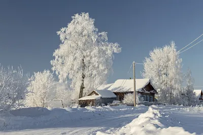 Исключительная красота: Снежная деревня в изысканном формате