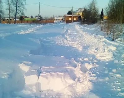 Морозная арена: Зимние зарисовки жизни в деревне