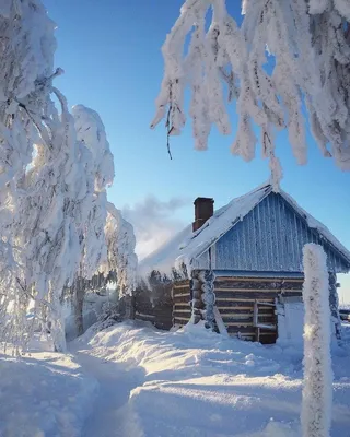 Сказочная красота: Фотка зимней деревни на айфон