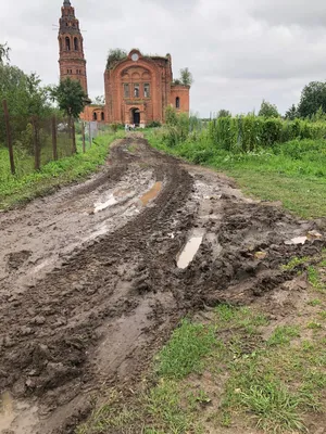 Фото жуков в деревне: уникальные снимки для скачивания