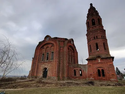 Фото жуков в деревне: скачать бесплатно в HD качестве